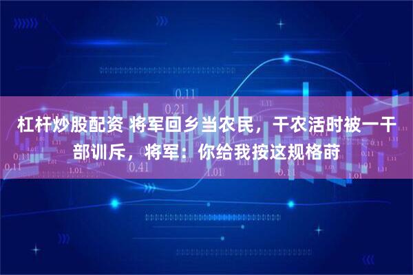 杠杆炒股配资 将军回乡当农民，干农活时被一干部训斥，将军：你给我按这规格莳