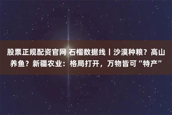 股票正规配资官网 石榴数据线丨沙漠种粮？高山养鱼？新疆农业：格局打开，万物皆可“特产”