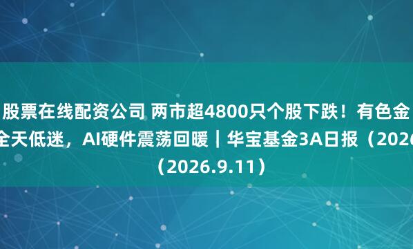 股票在线配资公司 两市超4800只个股下跌!有色金属板块全天低迷,AI硬件震荡回暖|华宝基金3A日报(2026.9.11)